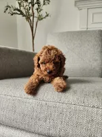 processed/57932db2-3c05-415a-9dd1-742b70b43222/facility/5a667eda-ada4-4344-b10b-71eba5c41498