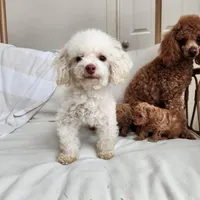 processed/57932db2-3c05-415a-9dd1-742b70b43222/facility/6e6eed18-4532-41a4-8504-4921075c5ae3