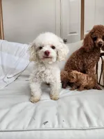 processed/57932db2-3c05-415a-9dd1-742b70b43222/facility/6e6eed18-4532-41a4-8504-4921075c5ae3