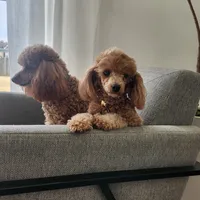 processed/57932db2-3c05-415a-9dd1-742b70b43222/facility/eccbc204-32c3-46a6-92ab-15587e88e48a