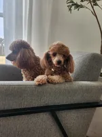 processed/57932db2-3c05-415a-9dd1-742b70b43222/facility/eccbc204-32c3-46a6-92ab-15587e88e48a