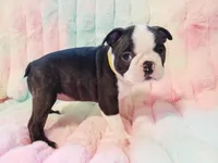 processed/57ab32c7-ed27-4eb2-bbd0-cc0daf3b5878/listing/27f166a2-eb9a-4b90-98bb-604d2c2d92fc/20d5b83f-a9d1-421b-99b9-e809e9c33782