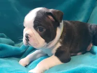 processed/57ab32c7-ed27-4eb2-bbd0-cc0daf3b5878/listing/27f166a2-eb9a-4b90-98bb-604d2c2d92fc/3633edb0-97e8-41cf-b37b-c09c7a07a31f