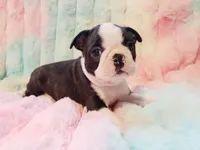 processed/57ab32c7-ed27-4eb2-bbd0-cc0daf3b5878/listing/27f166a2-eb9a-4b90-98bb-604d2c2d92fc/463066b1-df78-41b3-b6ec-c6ba66e8ba4a