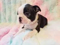 processed/57ab32c7-ed27-4eb2-bbd0-cc0daf3b5878/listing/27f166a2-eb9a-4b90-98bb-604d2c2d92fc/66289eb2-baf5-4d4e-875c-551fa2e450ce