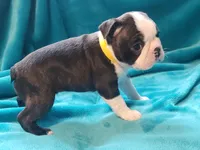 processed/57ab32c7-ed27-4eb2-bbd0-cc0daf3b5878/listing/27f166a2-eb9a-4b90-98bb-604d2c2d92fc/73171c80-d206-4745-bb03-dc2747642d32