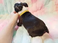 processed/57ab32c7-ed27-4eb2-bbd0-cc0daf3b5878/listing/27f166a2-eb9a-4b90-98bb-604d2c2d92fc/8d86d785-3fb9-41c0-ac04-abe761de2556