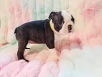 processed/57ab32c7-ed27-4eb2-bbd0-cc0daf3b5878/listing/27f166a2-eb9a-4b90-98bb-604d2c2d92fc/a97c53f1-091a-4ed8-a950-33f5a5630d50