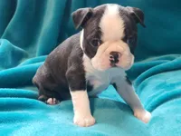 processed/57ab32c7-ed27-4eb2-bbd0-cc0daf3b5878/listing/27f166a2-eb9a-4b90-98bb-604d2c2d92fc/c0db1772-0d43-4de1-8767-3cf8bd918f15