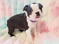 processed/57ab32c7-ed27-4eb2-bbd0-cc0daf3b5878/listing/a97587b3-6bb3-4150-9695-4af0767ca4bd/6c36ed0b-a4b0-4812-8ef9-61420f5b12af