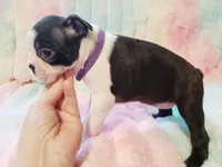 processed/57ab32c7-ed27-4eb2-bbd0-cc0daf3b5878/listing/a97587b3-6bb3-4150-9695-4af0767ca4bd/97b9e284-57ef-4298-85b2-dc3089441586