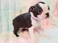 processed/57ab32c7-ed27-4eb2-bbd0-cc0daf3b5878/listing/a97587b3-6bb3-4150-9695-4af0767ca4bd/bd730e13-9049-4768-94c1-f928ce6f82da