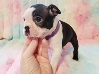 processed/57ab32c7-ed27-4eb2-bbd0-cc0daf3b5878/listing/a97587b3-6bb3-4150-9695-4af0767ca4bd/be26d1e8-076b-4b41-b788-d7a7a1243f08