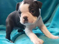 processed/57ab32c7-ed27-4eb2-bbd0-cc0daf3b5878/listing/a97587b3-6bb3-4150-9695-4af0767ca4bd/fcde1d4e-d959-41fd-b80c-99f0ed7f2acb