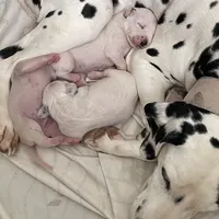 processed/57b2e13b-865c-42c3-89f0-cf81749bf16c/facility/2e404c95-2f2c-4865-a3ab-56d863d07130