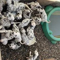 processed/57b2e13b-865c-42c3-89f0-cf81749bf16c/facility/4ff6c336-c427-4860-ab4b-c3ee05a63846