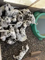 processed/57b2e13b-865c-42c3-89f0-cf81749bf16c/facility/4ff6c336-c427-4860-ab4b-c3ee05a63846