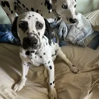 processed/57b2e13b-865c-42c3-89f0-cf81749bf16c/facility/ea447022-d211-4977-bdec-8ebd8e259dc9