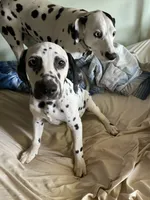 processed/57b2e13b-865c-42c3-89f0-cf81749bf16c/facility/ea447022-d211-4977-bdec-8ebd8e259dc9