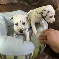 processed/57b2e13b-865c-42c3-89f0-cf81749bf16c/facility/fcc0c670-89cb-40ba-bad4-c1e04a4f5972