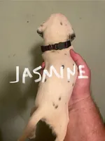 processed/57b2e13b-865c-42c3-89f0-cf81749bf16c/listing/1976b1a1-e1ce-4547-bf65-303c5a08a954/03d0a239-f8aa-401d-ab8d-0a3955f0e582