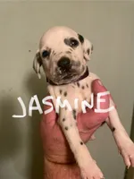 processed/57b2e13b-865c-42c3-89f0-cf81749bf16c/listing/1976b1a1-e1ce-4547-bf65-303c5a08a954/145d97cd-7a0a-4690-b6fd-c7b5c395f094