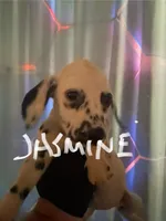 processed/57b2e13b-865c-42c3-89f0-cf81749bf16c/listing/1976b1a1-e1ce-4547-bf65-303c5a08a954/47a5dba9-fde6-488a-96aa-08da8ccc073d