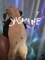 processed/57b2e13b-865c-42c3-89f0-cf81749bf16c/listing/1976b1a1-e1ce-4547-bf65-303c5a08a954/d182d430-1ae3-48a8-83a9-33381d0cf988