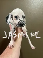 processed/57b2e13b-865c-42c3-89f0-cf81749bf16c/listing/1976b1a1-e1ce-4547-bf65-303c5a08a954/d7878d2e-8c41-4f0e-891f-c5b5213f24b2