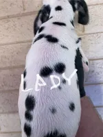 processed/57b2e13b-865c-42c3-89f0-cf81749bf16c/listing/19ac0023-4a53-4666-84b9-52ce36c713df/b711c2be-6e5a-4f74-a0ea-9e1e2a262adf