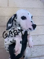 processed/57b2e13b-865c-42c3-89f0-cf81749bf16c/listing/4f7ebccc-d787-41d5-9a66-6a2736650047/07a148b9-b361-4549-8798-5abba83f33ec