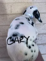 processed/57b2e13b-865c-42c3-89f0-cf81749bf16c/listing/4f7ebccc-d787-41d5-9a66-6a2736650047/39b42516-c956-4b1a-b8c9-e069495417aa