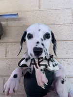 processed/57b2e13b-865c-42c3-89f0-cf81749bf16c/listing/4f7ebccc-d787-41d5-9a66-6a2736650047/899ce371-5f94-4614-aef7-d6b04d7163ca