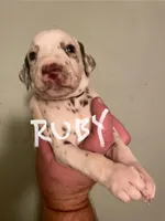 processed/57b2e13b-865c-42c3-89f0-cf81749bf16c/listing/513f0fa0-e97b-4e4c-8e8b-b95456e50086/054a432e-8a24-4abb-a976-f5dba3d60f56