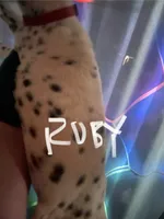 processed/57b2e13b-865c-42c3-89f0-cf81749bf16c/listing/513f0fa0-e97b-4e4c-8e8b-b95456e50086/12109460-04d5-4245-ba9e-ef53a0194548