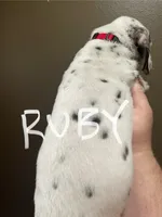 processed/57b2e13b-865c-42c3-89f0-cf81749bf16c/listing/513f0fa0-e97b-4e4c-8e8b-b95456e50086/9671399f-437a-4b6c-a4a8-621a6d1b7d53