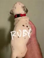 processed/57b2e13b-865c-42c3-89f0-cf81749bf16c/listing/513f0fa0-e97b-4e4c-8e8b-b95456e50086/d82c28dc-753e-40f4-8593-7acfb029372f