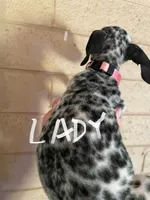 processed/57b2e13b-865c-42c3-89f0-cf81749bf16c/listing/577f9784-8d08-4a2f-b572-5152af19496c/9f88d2e9-5b3a-4671-92d3-6ab5f53ab057