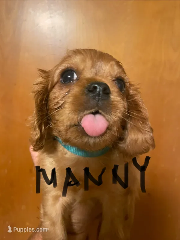 Manny