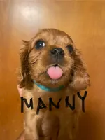 processed/57b2e13b-865c-42c3-89f0-cf81749bf16c/listing/8955a147-7c05-4632-9b74-4d5f4fd5381b/fae1bc40-546b-4af0-88cd-4dff113691f1