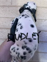 processed/57b2e13b-865c-42c3-89f0-cf81749bf16c/listing/8b6d4026-4435-4034-aa32-d67bd75921d5/363db18f-4d89-4725-ad2f-5f5fbc1ee8d2