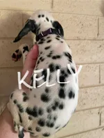 processed/57b2e13b-865c-42c3-89f0-cf81749bf16c/listing/8d1c21ef-56d4-4be2-99e6-d069bc0afba7/469f2edb-dcea-44fe-8db9-b2f3982238a0