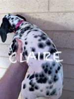 processed/57b2e13b-865c-42c3-89f0-cf81749bf16c/listing/a10d165e-edfb-4e49-a6b9-03eb6097ec45/0a89dccf-885d-438b-90c2-26b148770436