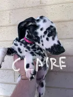 processed/57b2e13b-865c-42c3-89f0-cf81749bf16c/listing/a10d165e-edfb-4e49-a6b9-03eb6097ec45/f006d851-d65a-4938-bcb0-10b5f7db9eac