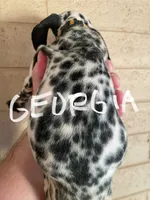 processed/57b2e13b-865c-42c3-89f0-cf81749bf16c/listing/abba7f44-eb4f-4335-b0c2-e1a07cfe23b1/76606558-39d1-446a-9726-4d8774f04fd1