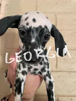 processed/57b2e13b-865c-42c3-89f0-cf81749bf16c/listing/abba7f44-eb4f-4335-b0c2-e1a07cfe23b1/e36e2261-353b-4d23-8ddd-a42a6b251673