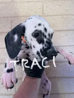 processed/57b2e13b-865c-42c3-89f0-cf81749bf16c/listing/ffe413df-3d5e-43e3-bf63-1f11f54d2224/9898eeb0-8b7f-44db-88aa-e3a6f15ebfff