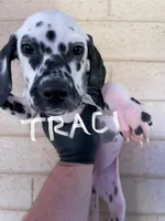 processed/57b2e13b-865c-42c3-89f0-cf81749bf16c/listing/ffe413df-3d5e-43e3-bf63-1f11f54d2224/9f57cdbe-fef3-4890-a81b-545074e6a9c0