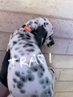 processed/57b2e13b-865c-42c3-89f0-cf81749bf16c/listing/ffe413df-3d5e-43e3-bf63-1f11f54d2224/b310edd3-9678-4082-984c-03489d6d10ec