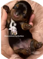 processed/57b6958f-6710-49e5-8fd6-ef784e2c669a/facility/cd8e2b07-cf4c-4965-a3a6-f6a2c2653eb2